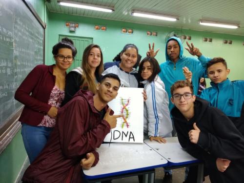 Imagem 3
